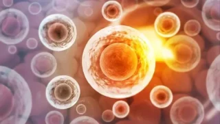 Akansha Negi: An Embryo Is More Than Just a Cell Count