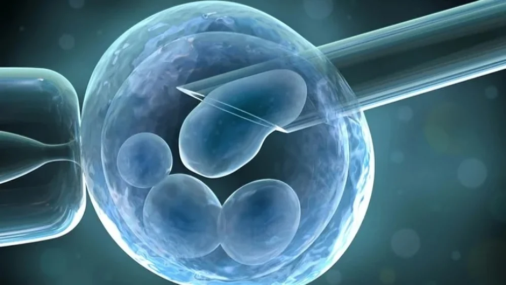 Eric Lameignere: Can AI Transform IVF Outcome Prediction Beyond Embryo Selection?
