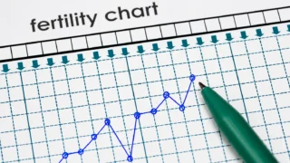 The Fertile Window: Why Your Best Days Come Before Ovulation - Fertility Plus