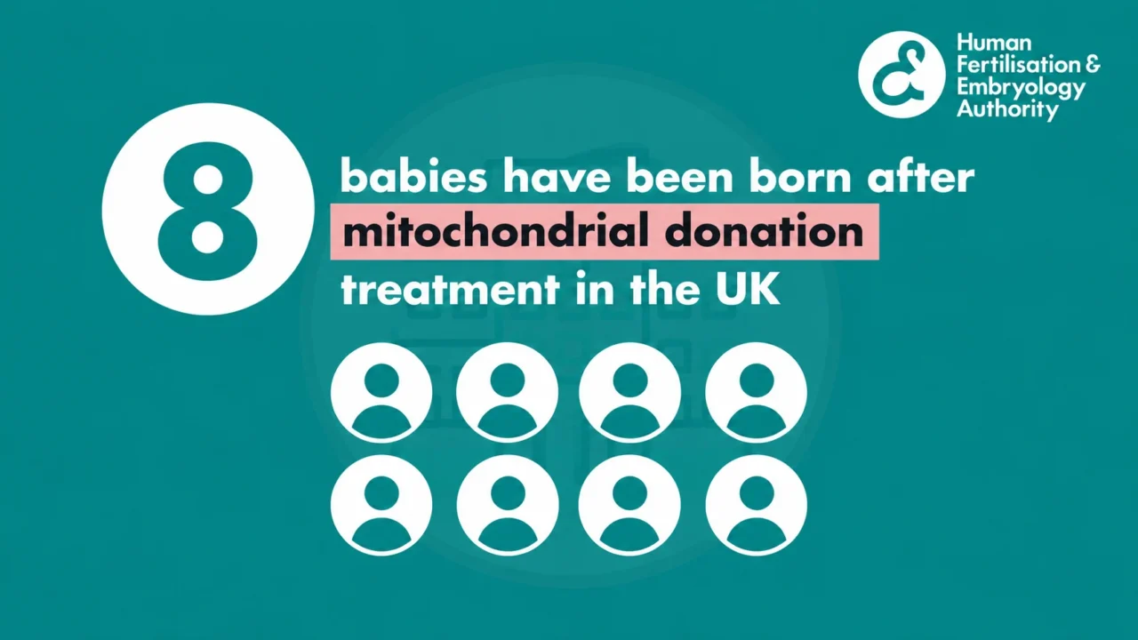 It’s World Mitochondrial Disease Week – HFEA