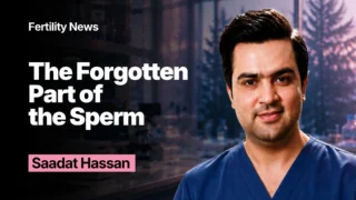 The Forgotten Part of the Sperm: Why Sperm Tail Membrane Disruption Matters in ICSI