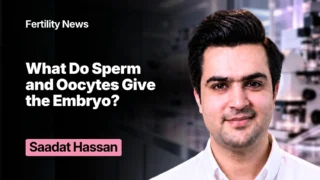 Beyond DNA: What Do Sperm and Oocytes Give the Embryo?
