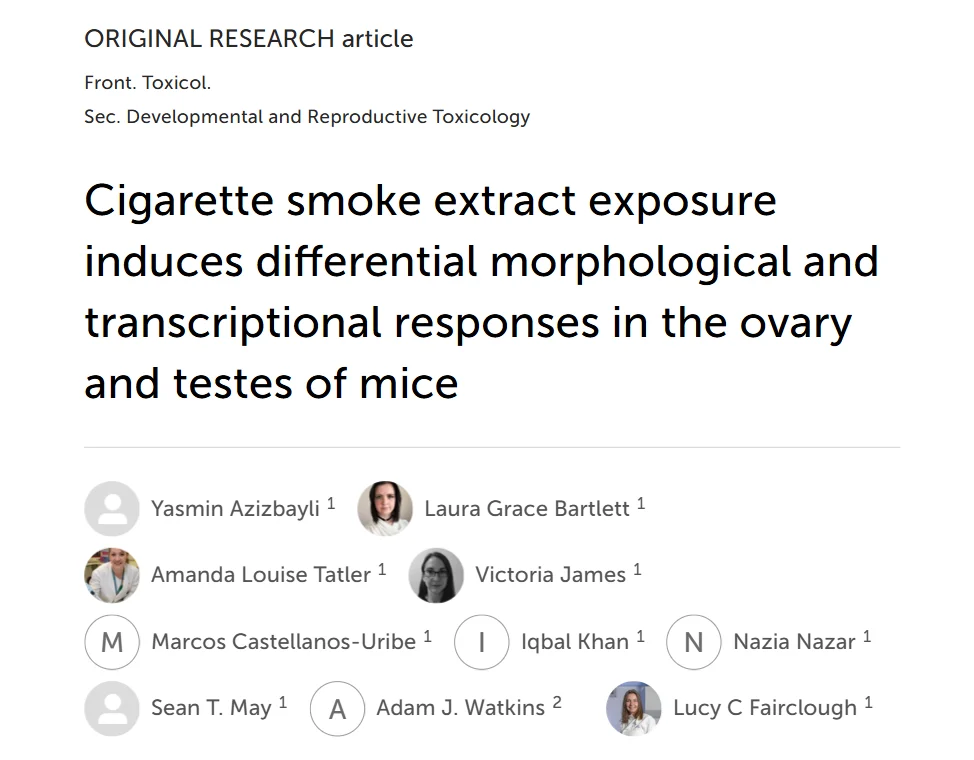 Yasmin Azizbayli: New Research Examines the Effects of Cigarette Smoke on Ovaries and Testes of Mice