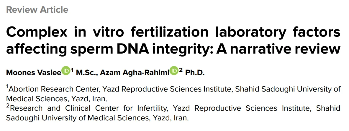 Eric Lameignere: What If Part of the Sperm DNA Damage We Observe is Actually Created in the IVF Laboratory Itself?