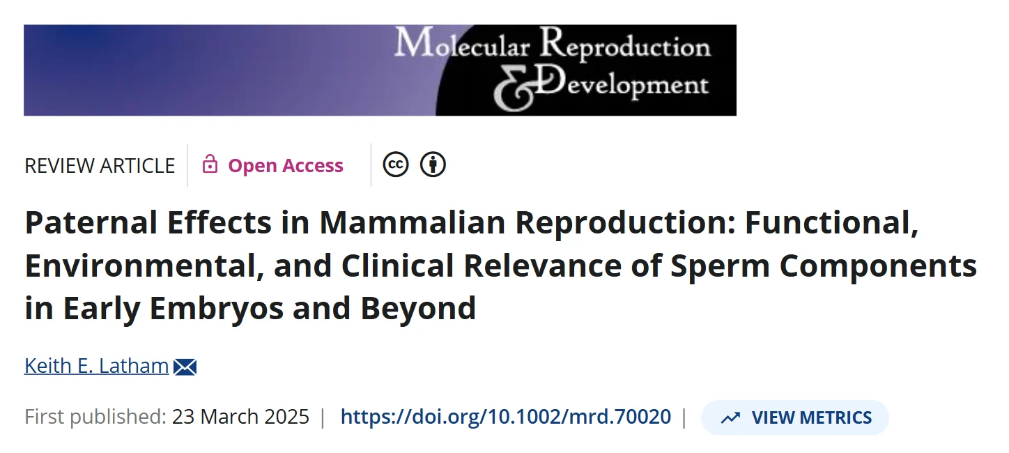 Beyond DNA: What Do Sperm and Oocytes Give the Embryo?