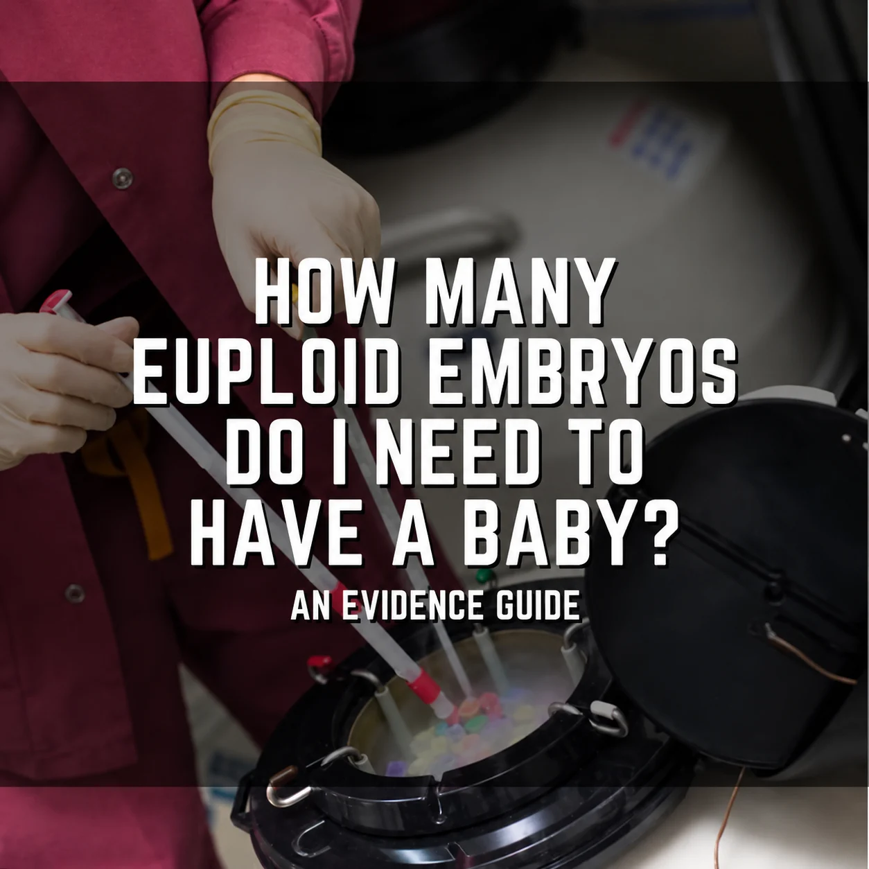 Sean Lauber: How Many Euploid Embryos Do You Need to Have a Baby?