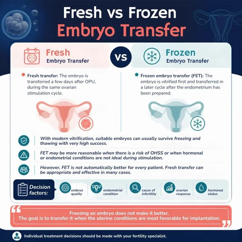Caspian Ostadian: Fresh vs Frozen Embryo Transfer – Which One Is Better?