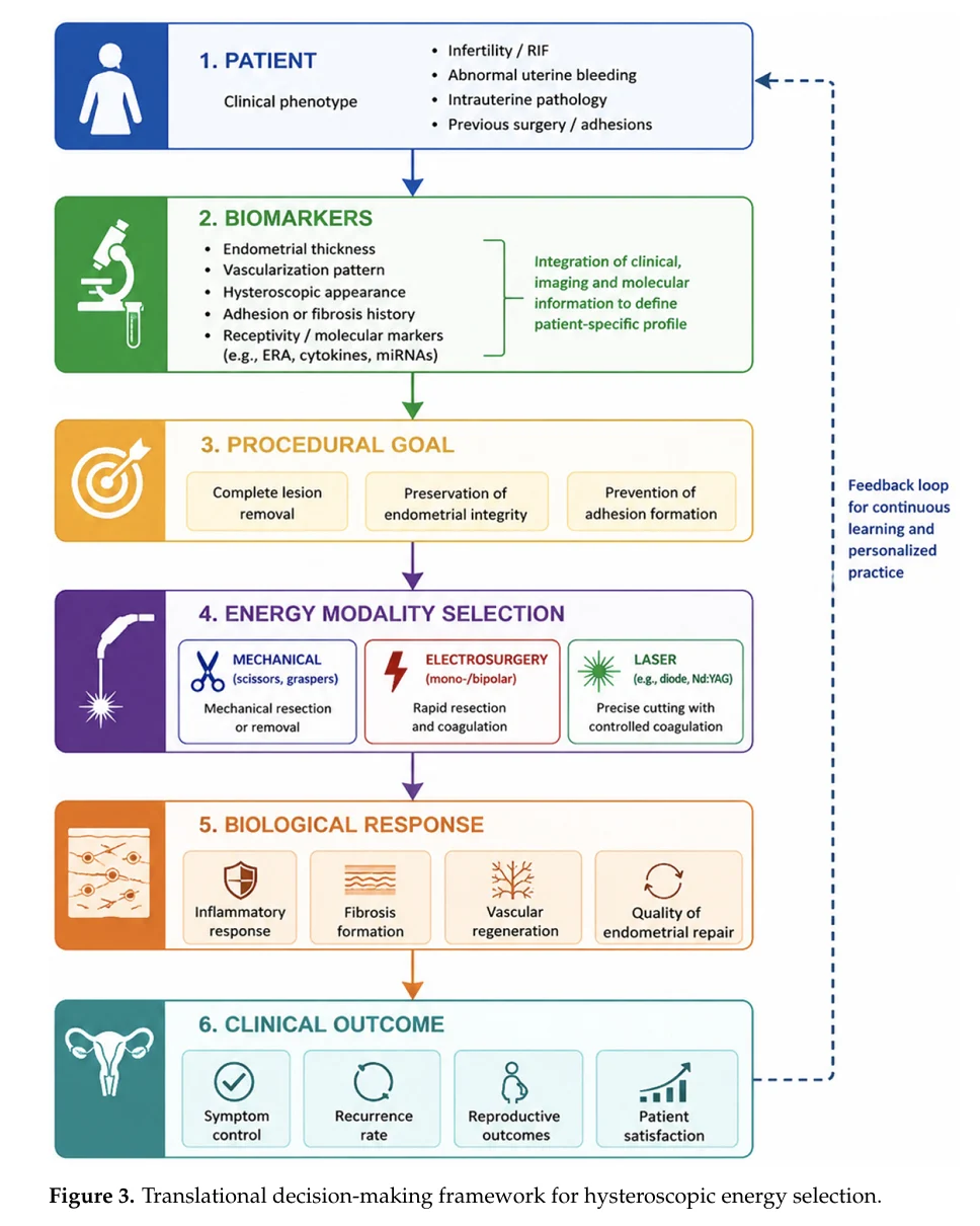 Laser Hysteroscopy: Towards Precision and Fertility-Preserving Intrauterine Surgery