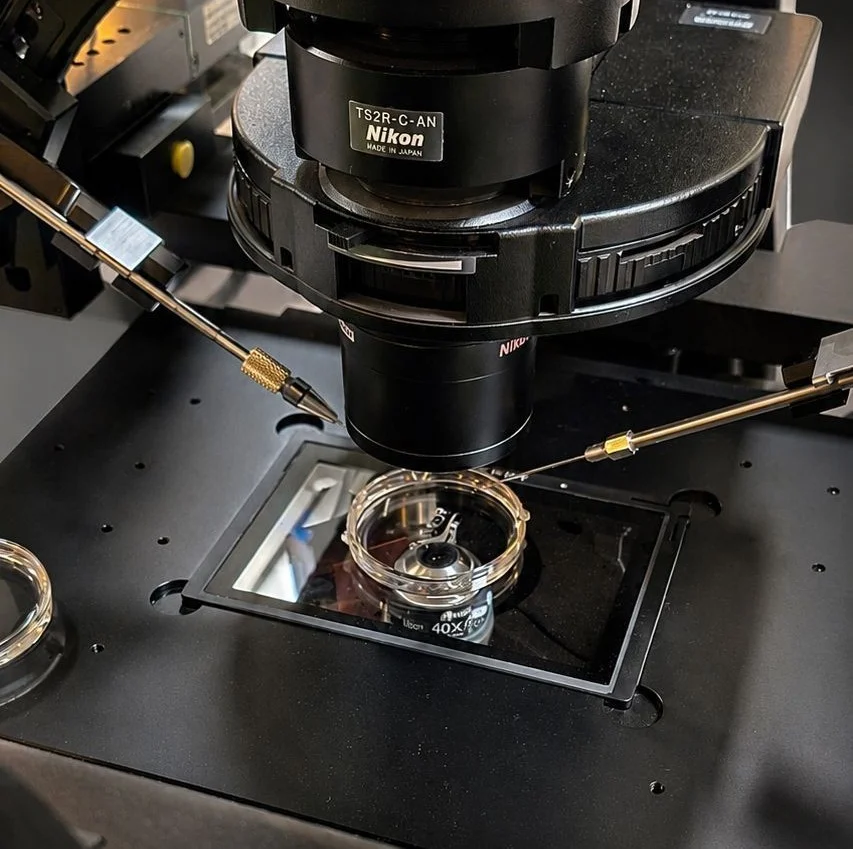 Zahra Hosseini: A Closer Look at the ICSI Microscope