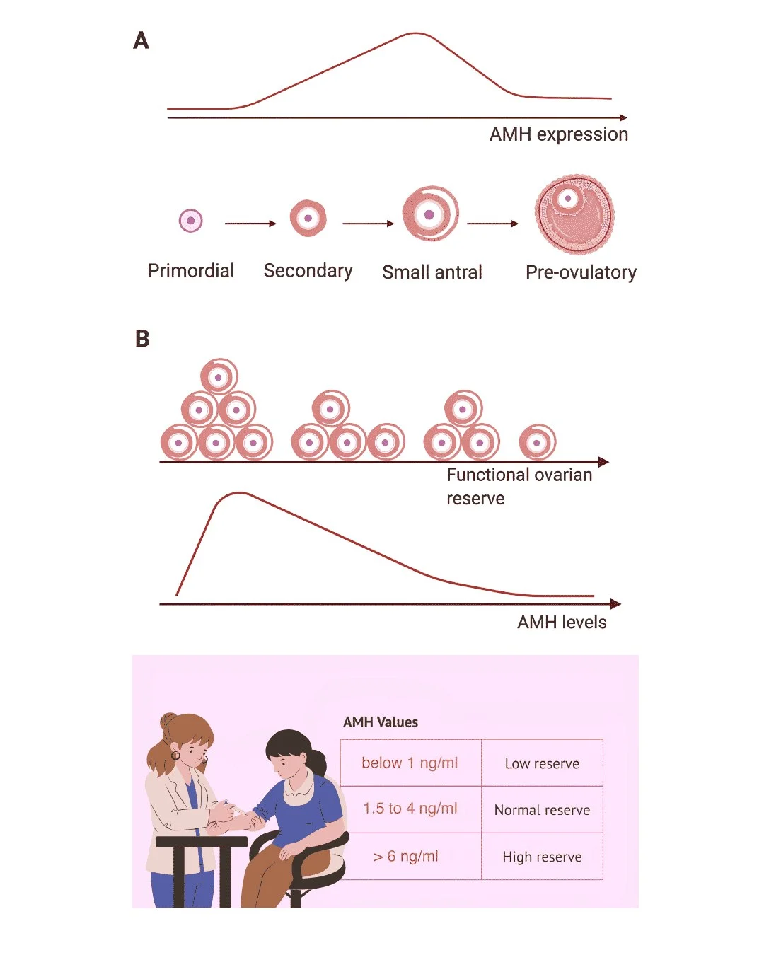 12 Important Fertility Tests and When They Are Done – Valley Fertility Centre