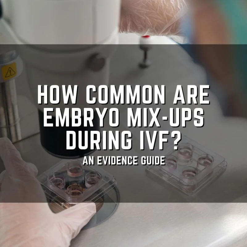 Sean Lauber: How Common Are Embryo Mix-Ups During IVF?