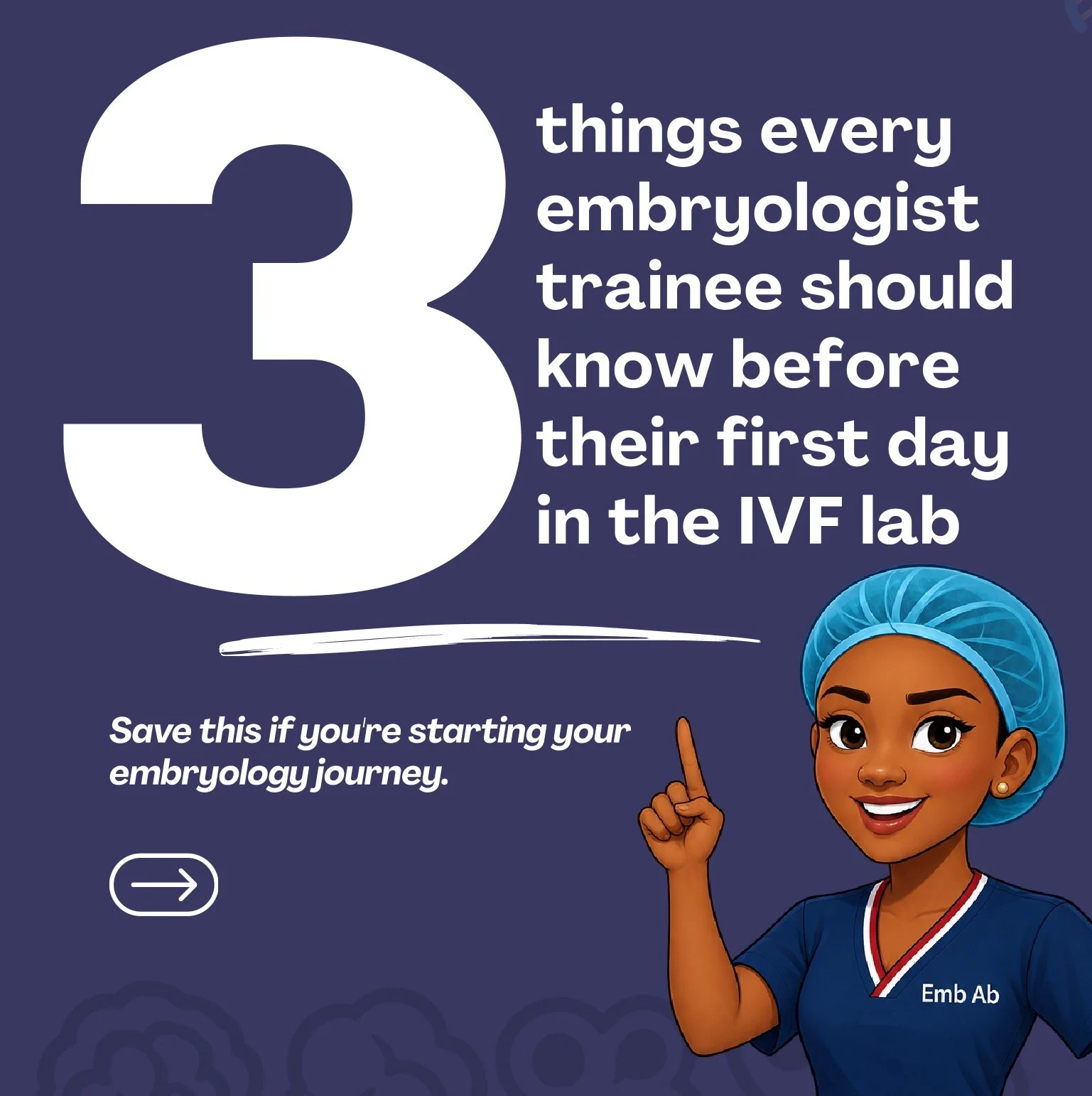Abieyuwa Ehigiamusoe, Embryology