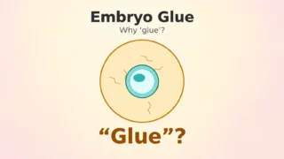 Somil Singhal: Method for Enhancing Embryo Implantation Using Embryo Glue and Its Importance