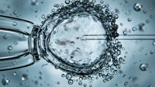 Mervat Alkarkatli: IVF Care Is Evolving and So Should the Roles Within It