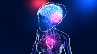 Can PCOS/PMOS Increase a Woman’s Risk of Stroke? - PCOS Millennials