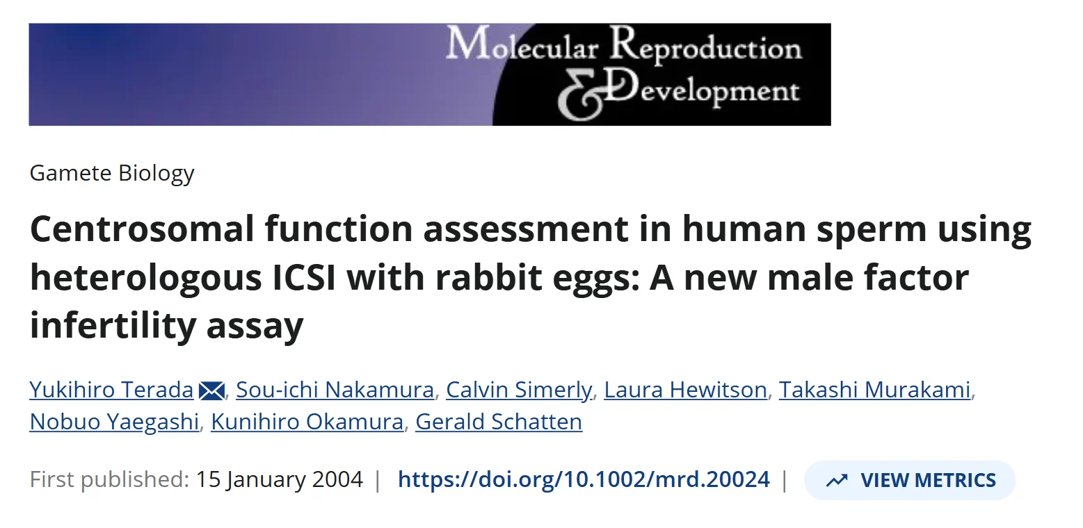 The Sperm Centrosome After Fertilization: What Embryologists Need to Know in 2026