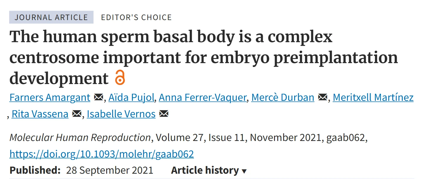 The Sperm Centrosome After Fertilization: What Embryologists Need to Know in 2026