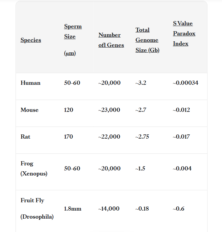 Sanketh Dhumal Satya: The S Value Paradox – The Curious Case of Sperm Size